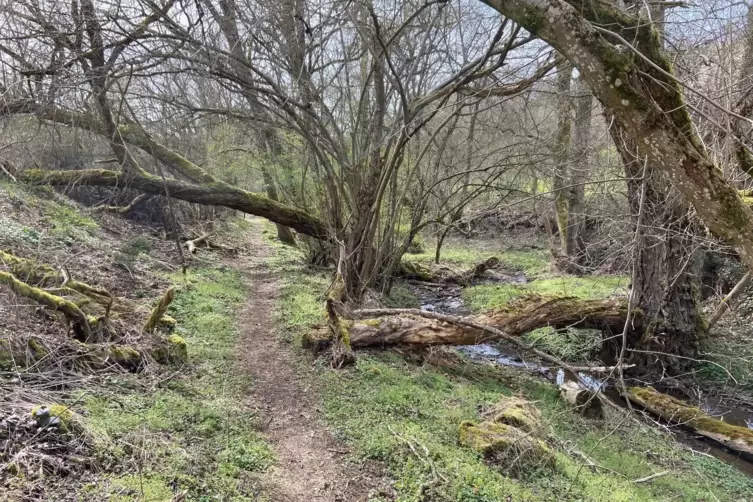 Alte-Welt-Weg ab Heimkirchen. 