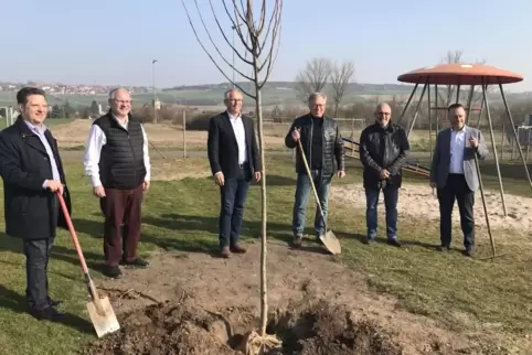 Einer von drei Bäumen auf dem Ebertsheimer Kinderspielplatz ist gepflanzt, von links: Bürgermeister der VG Leiningerland Frank R