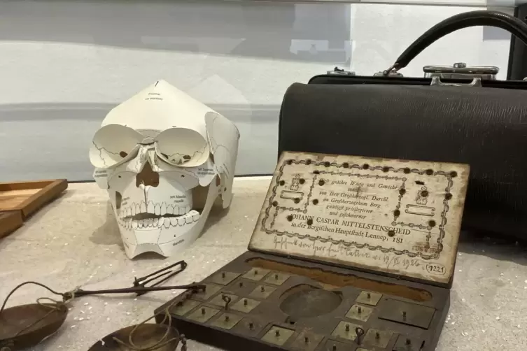 Als Arzt war Virchow eine Koryph&auml;e. Er pr&auml;gte Begriffe wie Leuk&auml;mie oder Thrombose. 