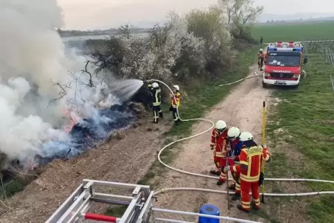 Weil jemand illegal Grünschnitt verbrannte, musste die Ellerstadter Feuerwehr am Dienstagabend ausrücken. 
