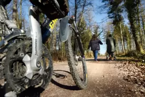 In Rheinland-Pfalz ist Radfahren im Wald nur auf breiten Wegen erlaubt. Zwei Projekte in der Vorderpfalz wollen das ändern und a In Rheinland-Pfalz ist Radfahren im Wald nur auf breiten Wegen erlaubt. Zwei Projekte in der Vorderpfalz wollen das ändern und a