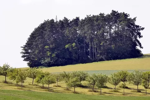 Winterbach möchte den Wirtschaftsweg hoch zum Reifenberger Pfarrhöfchen ausbauen. 
