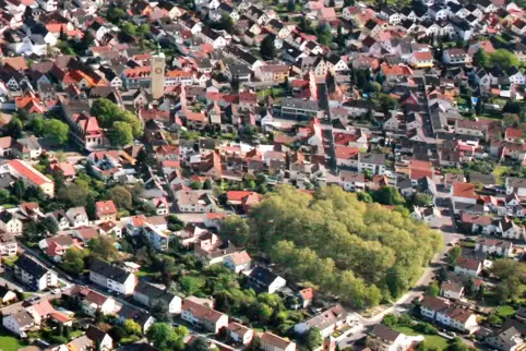 In Altrip gilt – wie in den anderen drei Ortsgemeinden – bisher noch der alte Flächennutzungsplan. 