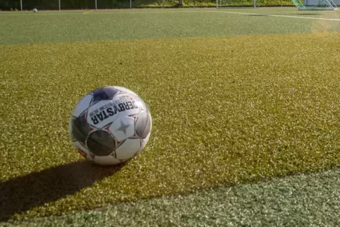 Der FC Neupotz kann sich freuen. Geld für den Kunstrasenplatz gibt es. Bevor der Ball darauf rollt, muss nur noch gebaut werden.