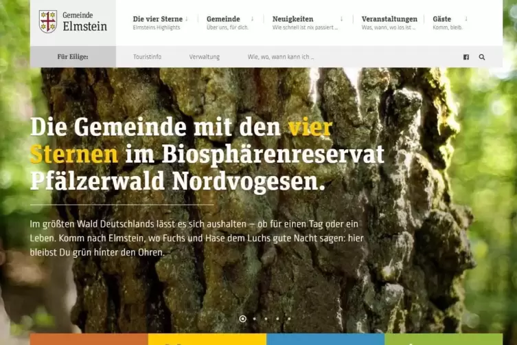 Die neue Homepage Elmsteins.