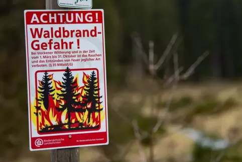 Hohe Brandgefahr: Autos nicht am Waldrand abstellen