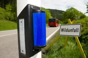 Die gelben Gestelle und das Schild deuten auf die Orte, an denen es bereits zu Wildunfällen gekommen ist. Die gelben Gestelle und das Schild deuten auf die Orte, an denen es bereits zu Wildunfällen gekommen ist.