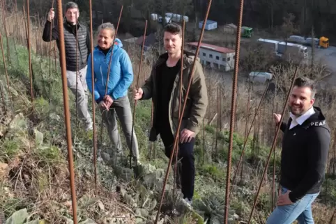 Freunde im unwegsamen Weinbergsgelände (von links) Johannes Reibold, Franziska Willersinn, Philipp Reibold und Marc Depper. 