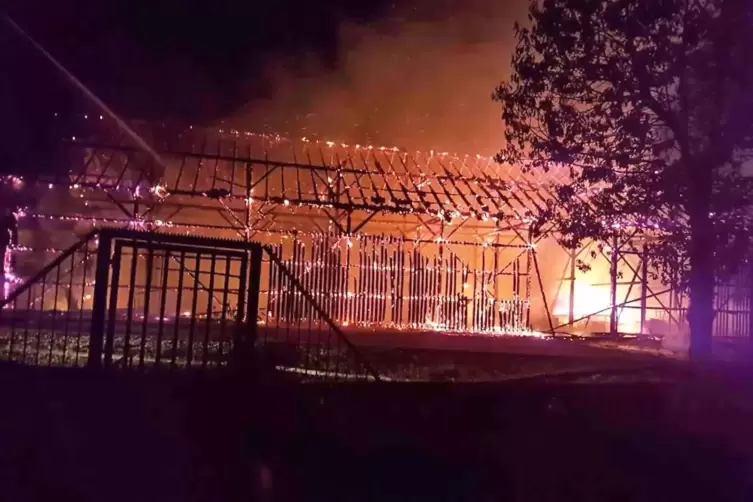 Ende August 2016 brannte diese Lagerhalle in Rodalben ab. Dabei wurde Asbest freigesetzt.