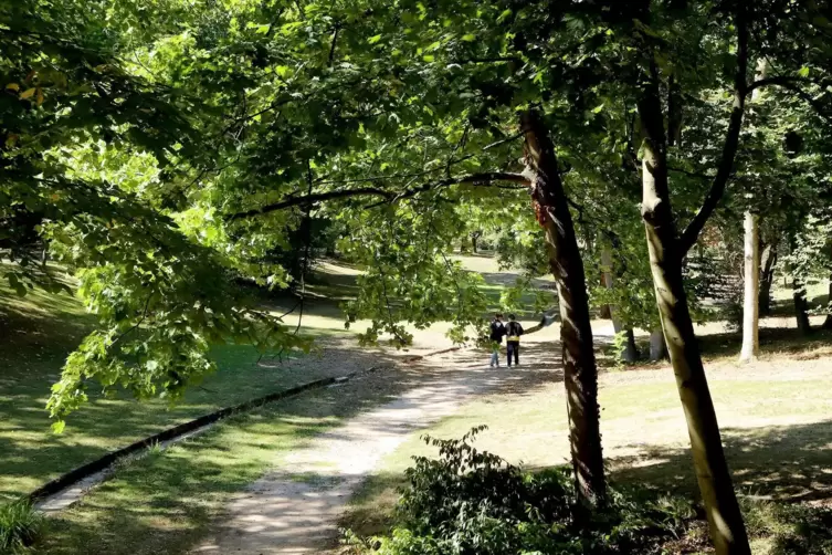 Grüne Lunge Bürgerpark. Eine Gruppe der Ehrenamtsinitiative hat Bildtafeln für 21 Bäume erarbeitet. Eine andere Gruppe unternahm