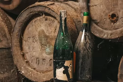 Das Büro für Tourismus sucht den ältesten Wein der Stadt. 