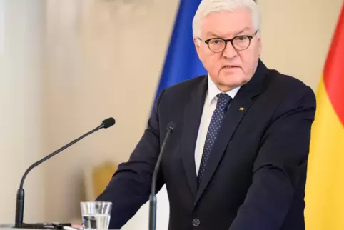 Immer engagiert in Sachen Ukraine: Frank-Walter Steinmeier. 