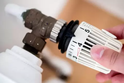 Privathaushalte sollten weniger stark heizen und weniger Warmwasser verbrauchen, um Energie einzusparen, meinen die Wirtschaftsf