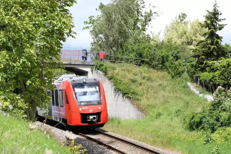 Im Sommer sollen unter der Brücke keine Züge rollen. Die Bahn muss bis zum Herxheimer Bahnhof den Bahndamm sanieren.