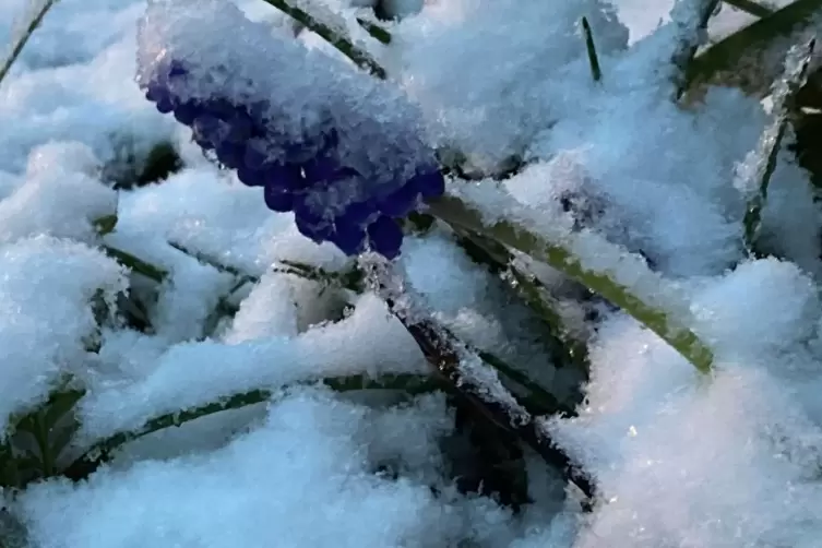 Schnee in Breitenbach, Kreis Kusel