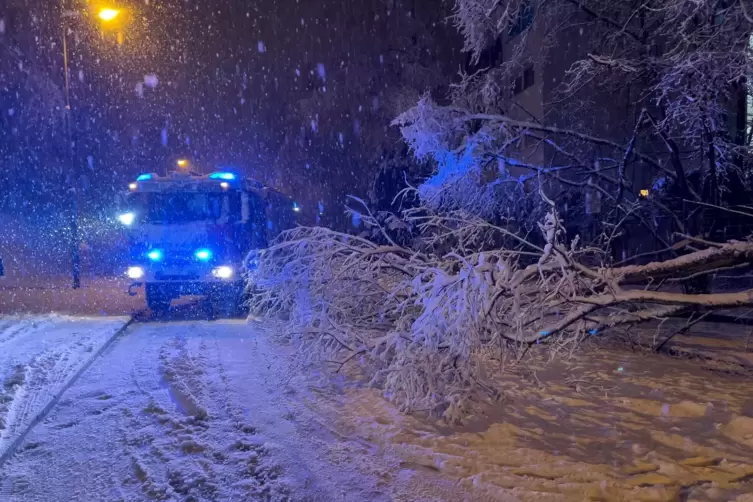 Schneebruch in Kaiserslautern