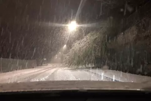 Heftige Schneefälle in der Nacht zu Samstag sorgten für Beeinträchtigungen in der Südwestpfalz.