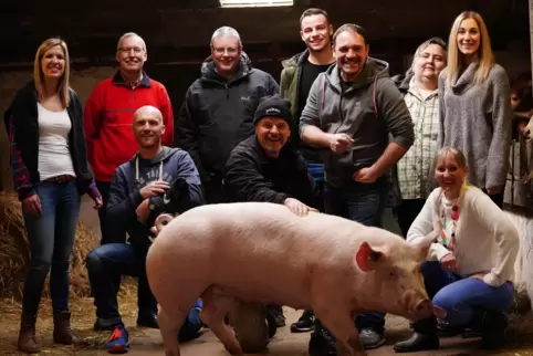 Wollen auf der Bühne endlich mal wieder „die Sau rauslassen“: die Akteure des Steinbacher Dorftheaters. Das Schwein posierte übr