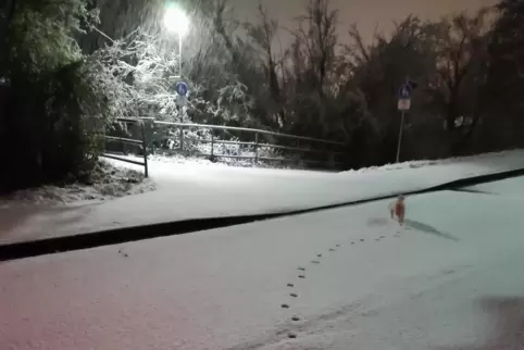 Auch Zweibrücken – hier der Stadtteil Ernstweiler – verwandelte sich in der Nach zum Samstag in eine Winterlandschaft.