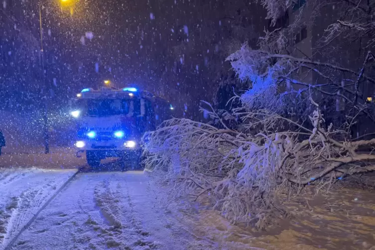 &Uuml;berall im Stadtgebiet waren B&auml;ume auf die Stra&szlig;en gest&uuml;rzt wie hier in der Kantstra&szlig;e.