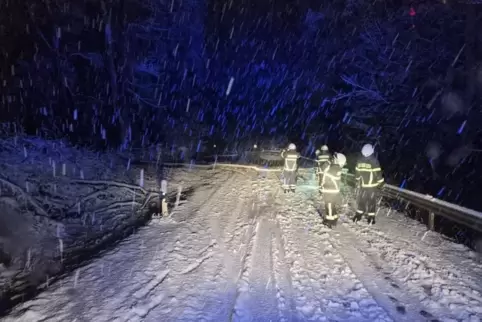 Rund 100 Einsätze mussten die Feuerwehren im Landkreis wegen der starken Schneefälle absolvieren. 
