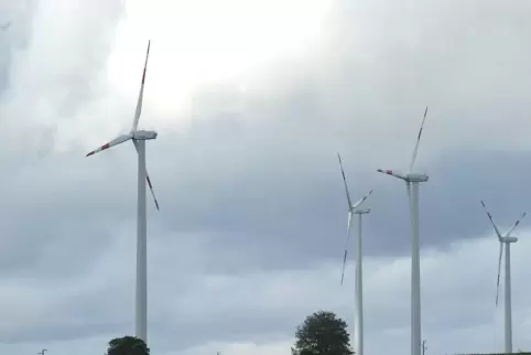 Auch die Windräder des Windparks in Minfeld werden erweitert. Jetzt kommen in Kandel weitere hinzu. 