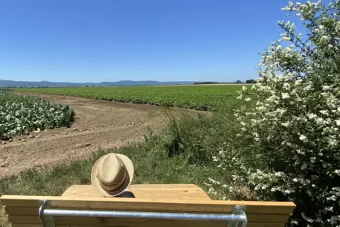 Die Himmelwärts-Bänke sollen ein Ort zum Entspannen sein, zur Entschleunigung.Und was in Schauernheim funktioniert, kann auch in