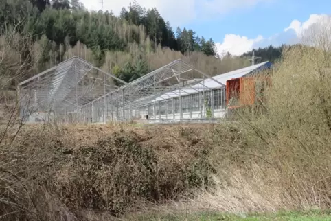 Auf dem Gelände der ehemaligen Gärtnerei Pfeiffer in Rodalben soll ein Neubaugebiet entstehen. 