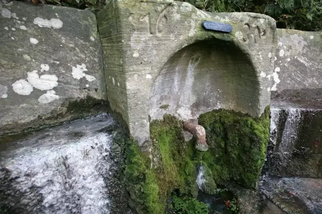 Der Landauer Schwefelbrunnen liegt am westlichen Stadtrand an einem Wirtschaftsweg, der parallel zur Hans-Boner-Straße verläuft.