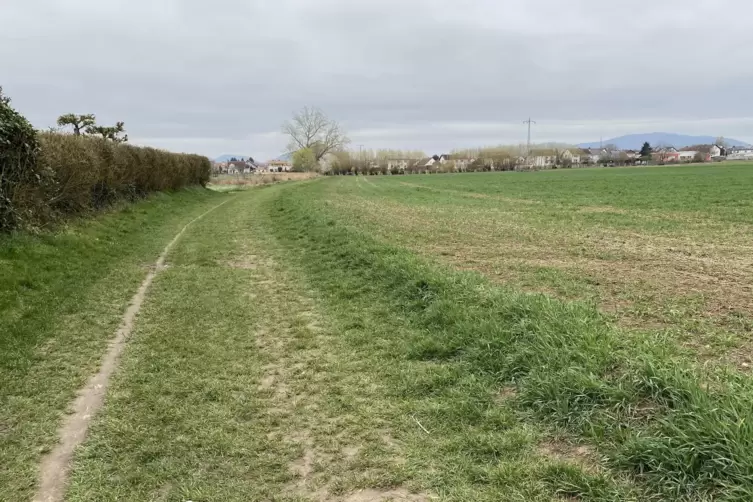 Vom Wohngebiet ausgehend, f&uuml;hrt ein Feldweg in Richtung Grundschule, die rechts oben zu erahnen ist. 