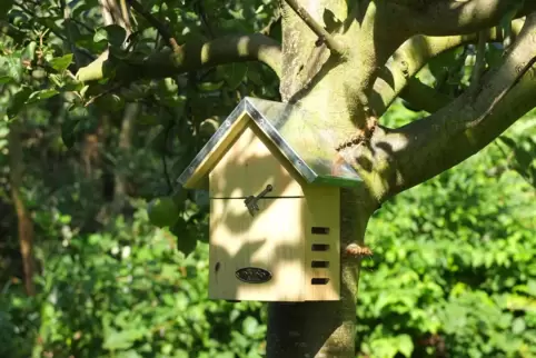Auch geeignete Nisthilfen oder Insektenhotels werten eine Streuobstwiese auf. 
