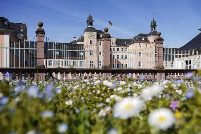 Gänseblümchen auf der Wiese vor dem Hauptportal: Schwetzinger Schloss und Schlossgarten starten an Ostern in eine neue Saison.