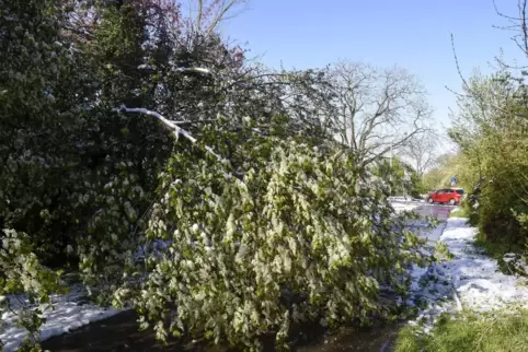 Schneefall-Folgen. 