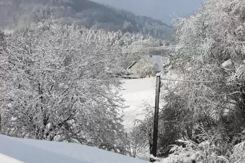 Tiefster Winter? Mitnichten! Am vergangenen Wochenende hat sich der April besonders launisch gezeigt. 