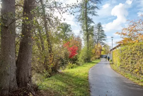 Der Guldenweg hinterm Rosengarten. 
