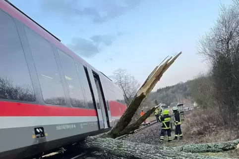 Ein umgestürzter Baum hievte die Regionalbahn im Februar neben die Gleise. Zur Bergung musste ein spezieller Kran aus Fulda anre