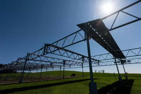 Mit dieser Agri-Fotovoltaikanlage testen die Uni Hohenheim und das Fraunhofer-Institut für Solare Energiesysteme in Freiburg, wi