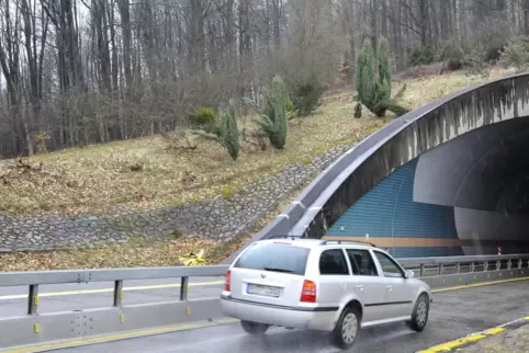 Im Landstuhler Hörnchenbergtunnel ist seit Sommer vergangenen Jahres die rechte Fahrspur gesperrt. Es gilt deshalb Tempo 60. 