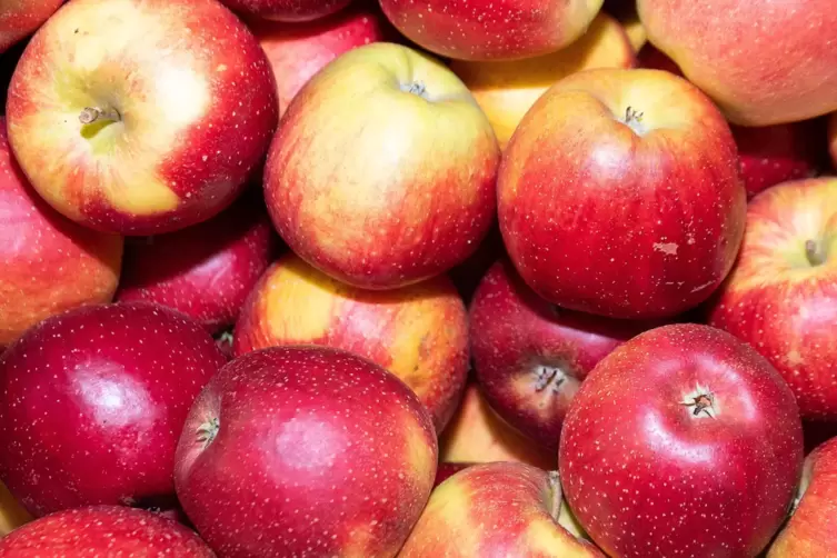 Im Spätjahr 2021 hat die AWO ein Apfelfest veranstaltet. 
