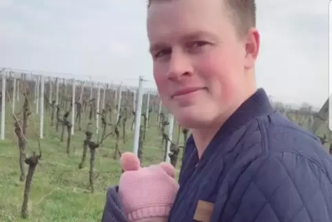 Spaziergang mit Tochter: Dennis Will ist in den Weinbergen unterwegs. Er genießt das Familienleben. 