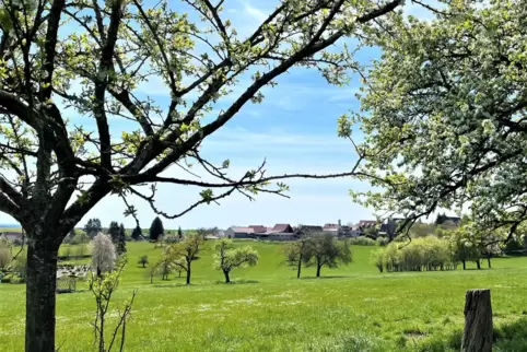Die Obstbaumblüte schenkt dem Frühling sein besonderes Farbenspiel. Im Hintergrund sieht man Käshofen.