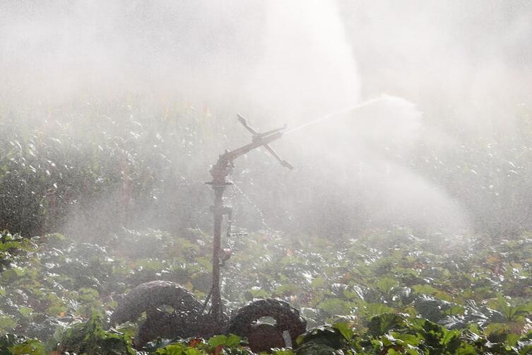 Der Naturschutzverband fordert eine Kontrolle der Grundwasserentnahme auch bei Landwirten. 