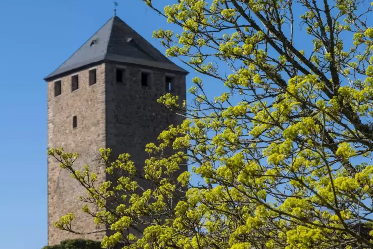 In den vergangenen beiden Jahren blieb es Anfang Mai still auf Burg Lichtenberg.