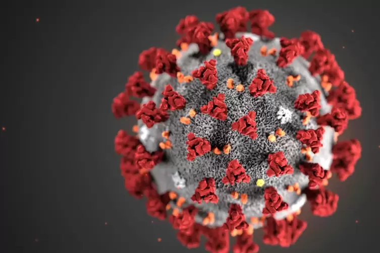 Ein Modell des Coronavirus’.