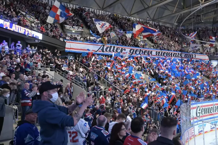 Klasse Kulisse, klasse Atmosph&auml;re in der SAP-Arena.
