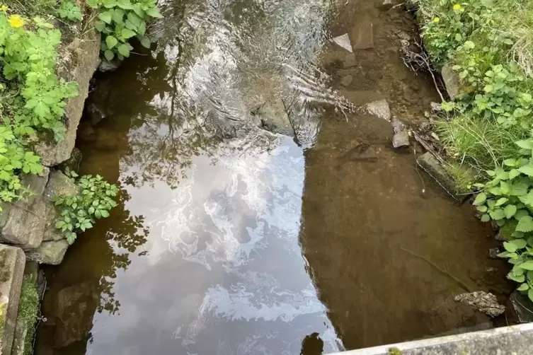 Der &Ouml;lfilm auf dem Eckbach am Montag: 