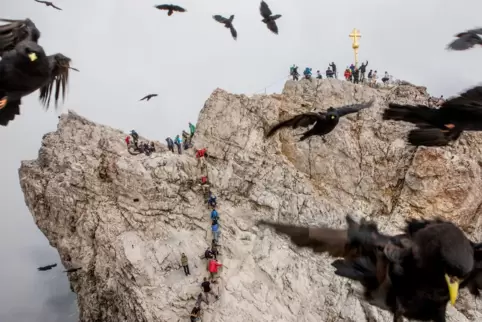 Tanz der Dohlen an der Zugspitze: Foto aus Hans-Jürgen Burkhards Band „An Tagen wie diesen“. 