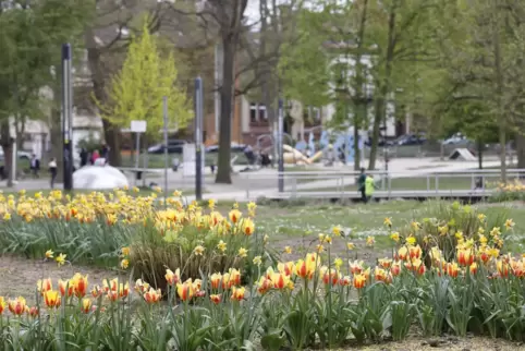 Seit der Jahrtausendwende hat der Stadtpark schrittweise sein Gesicht verändert. Das viele Grün lockt viele Menschen an und lädt