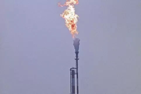 Wegen eines technischen Defekts musste bei der BASF kurzerhand Gas verbannt werden. 
