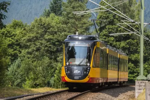 Wegen Bauarbeiten an den Gleisen zwischen Karlsruhe und Ludwigshafen verkehren in den Nächten zum 2. und zum 4. Mai ersatzweise 